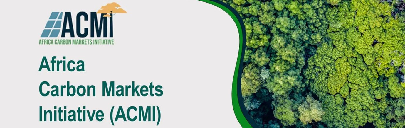Africa Carbon Markets Initiative